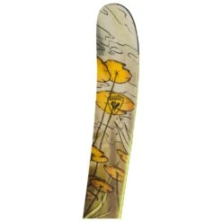 Ski Rossignol Blackops 118 -Matériel De Ski 0396f3cc10ac3b59426dea954d001739869205a4 H23ROSSSKI214261 901
