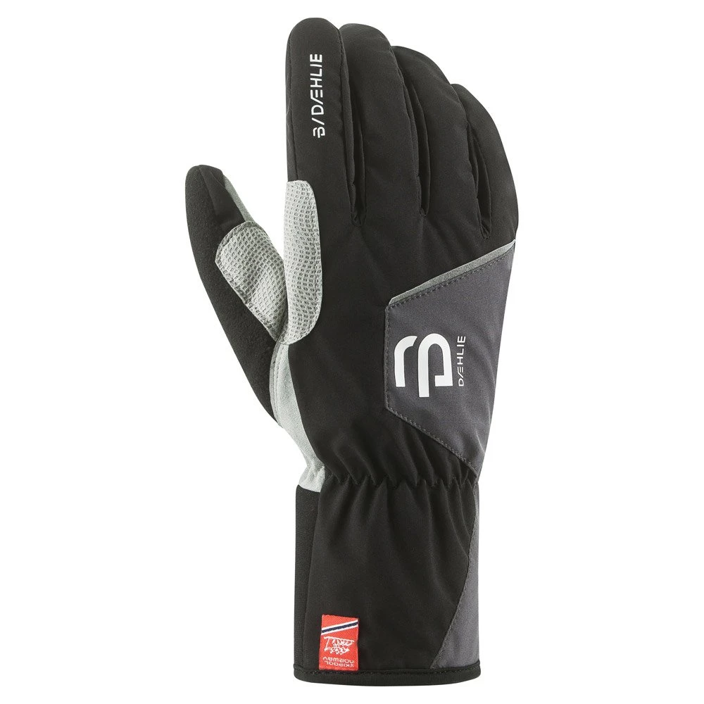 Gant Nordique Bjorn Daehlie Track Black 1 Gant Nordique Bjorn Daehlie Track Black